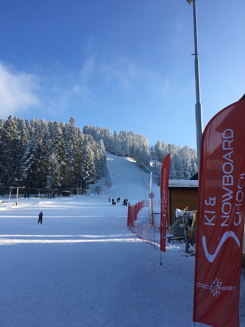 Borovets ski lift and pine forest