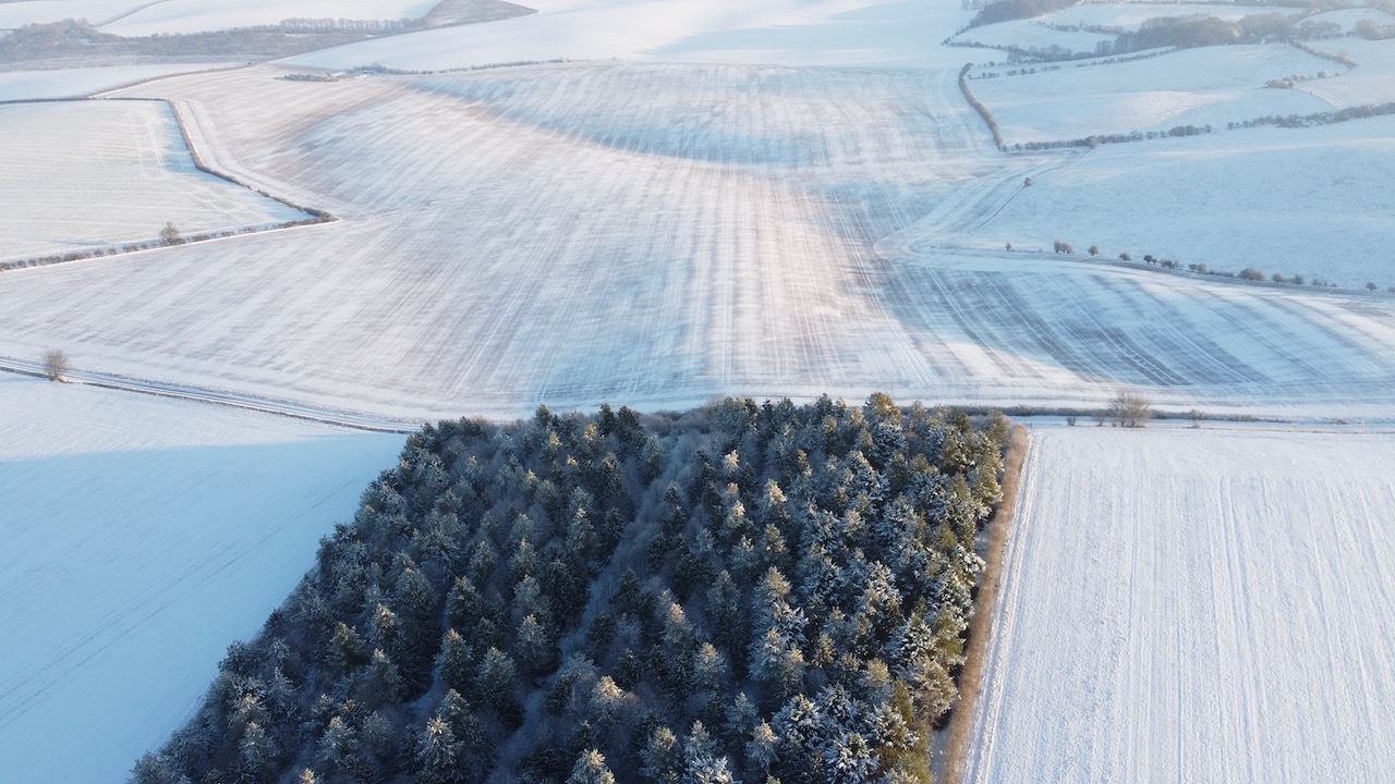 Snow-covered Hertfordshire fields at dawn