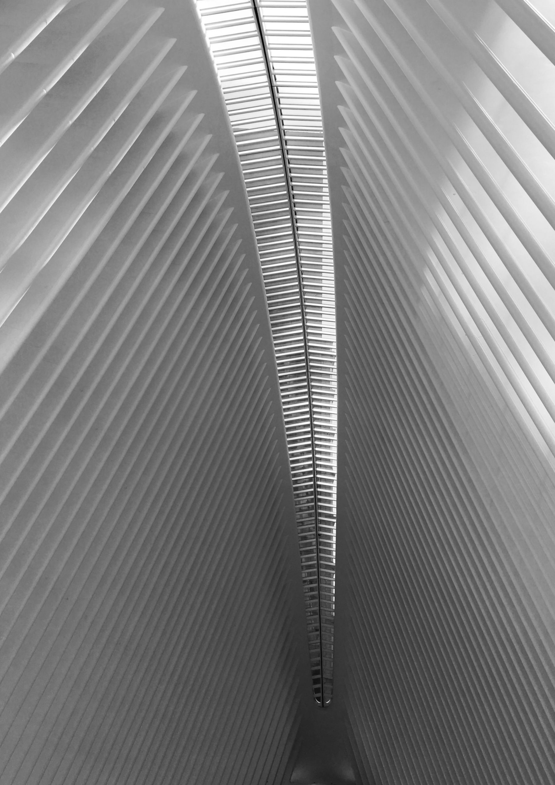 newyork-oculus2